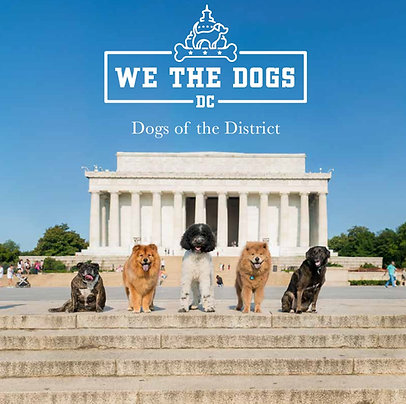 Dogs of the District Photo Book