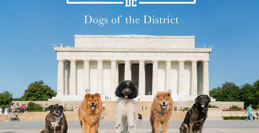 Dogs of the District Photo Book